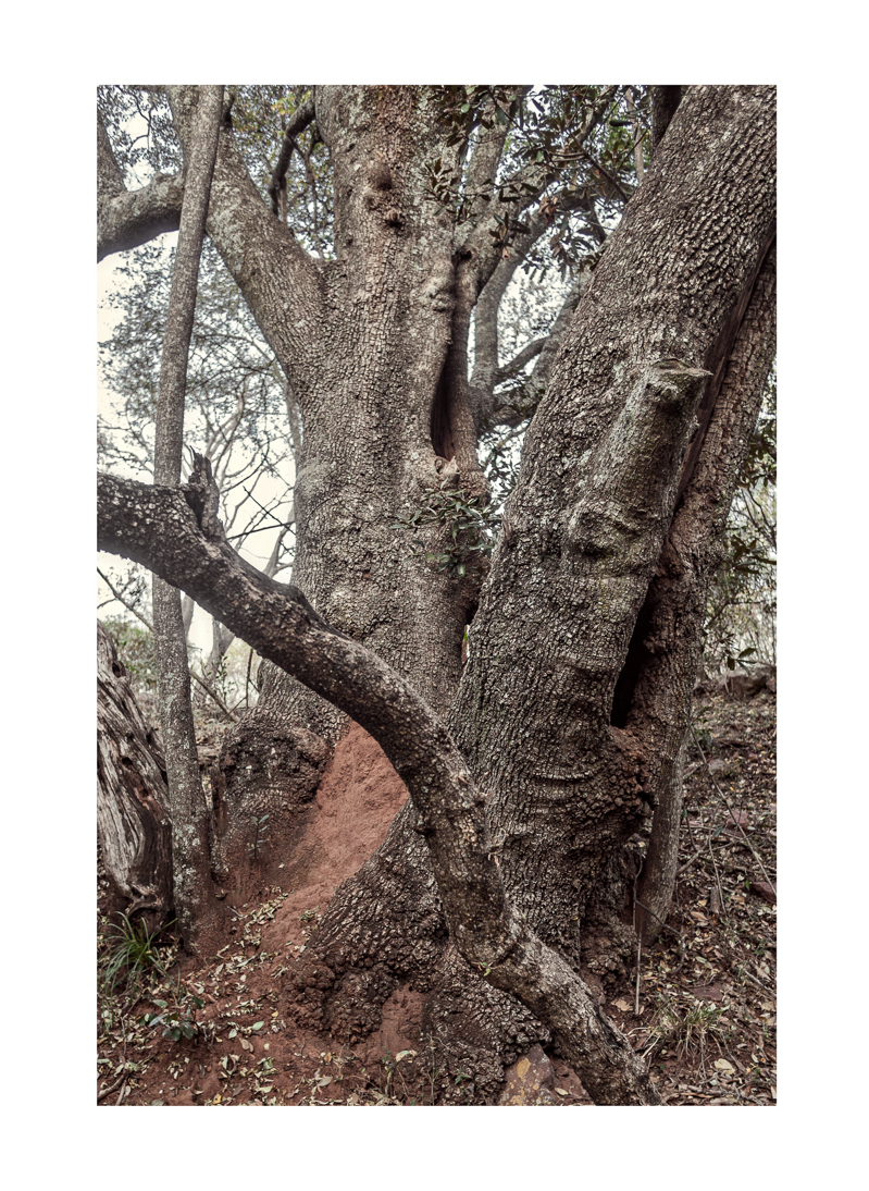 Among Others — Ben Viljoen, 2025