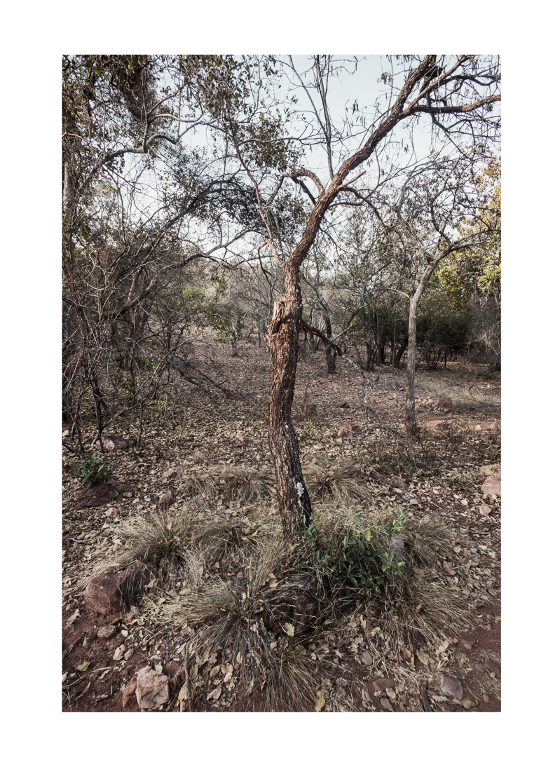 Among Others — Ben Viljoen, 2025