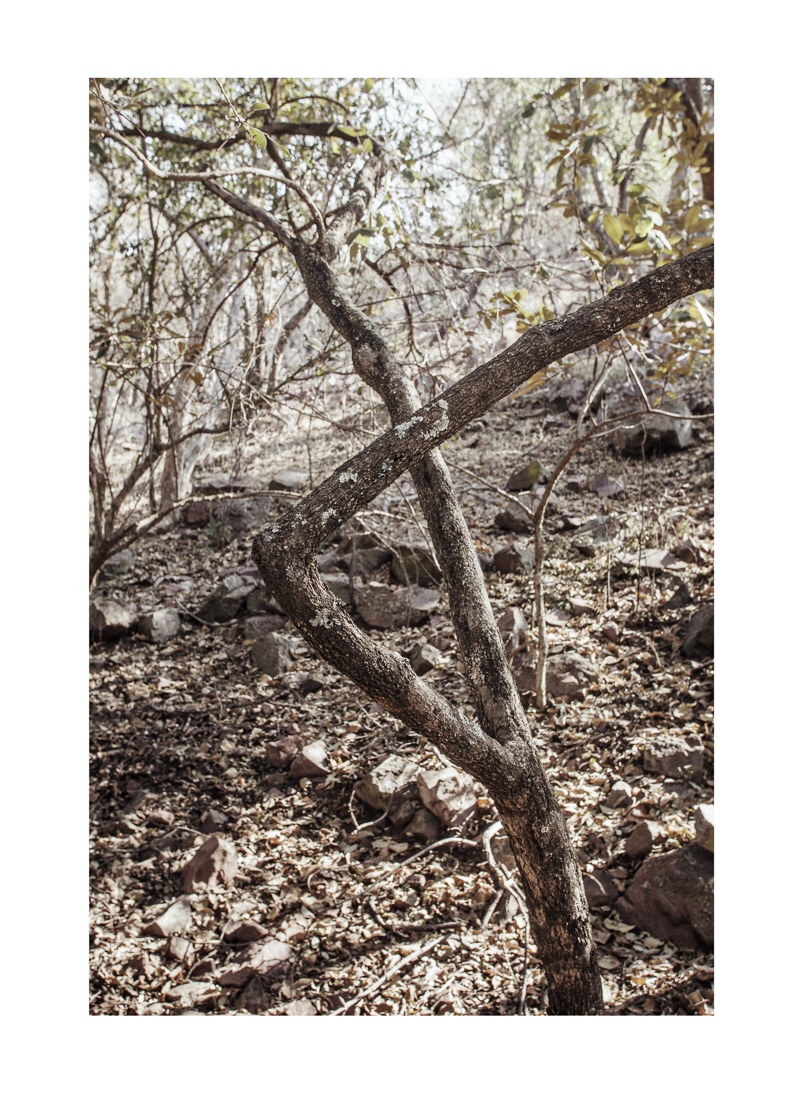 Among Others — Ben Viljoen, 2025