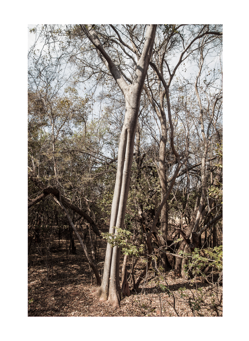 Among Others — Ben Viljoen, 2025